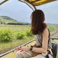 제주여행🏝️ 레일바이크 타고 제주 오름 경관 즐기기🛤️