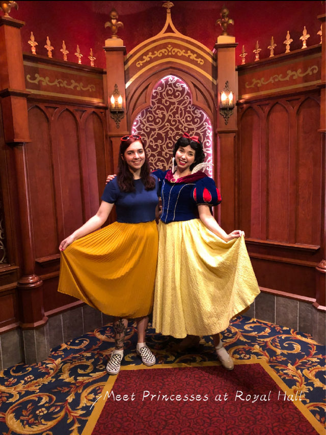 A Magical Day at Disneyland Resort 🌟