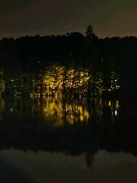 【免費夜遊】七星岩暑期特優惠，夢幻夜景等你來！