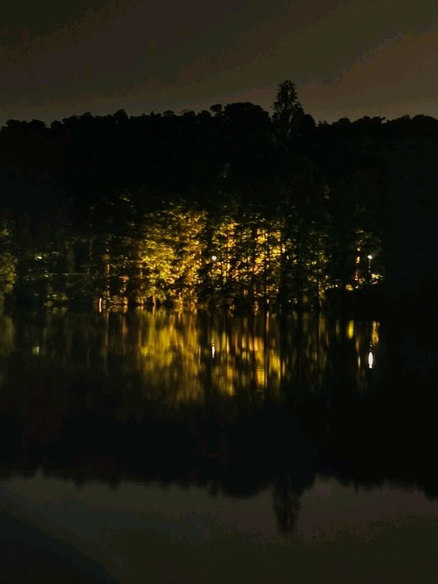 【免費夜遊】七星岩暑期特優惠，夢幻夜景等你來！