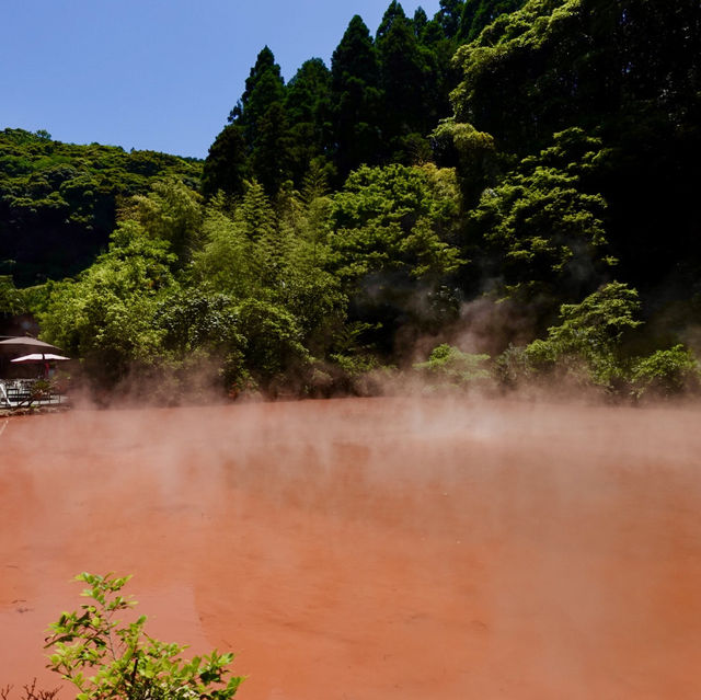 【#九州自駕遊】別府絕美"地獄"景點推薦 🔥🌋