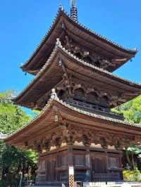 【石手寺:愛媛県松山市】四国八十八ヶ所第51番札所の石手寺