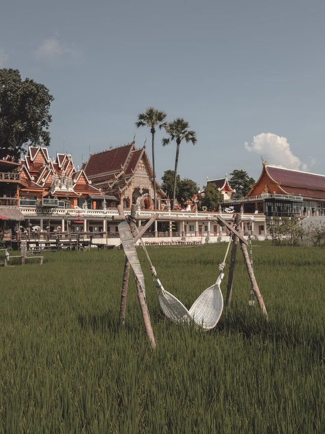 วัดศรีมงคล (วัดก๋ง) วัดที่รายล้อมด้วยทุ่งข้าว 🌾