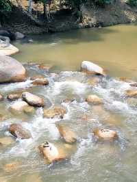 A WEEKEND BY THE RIVER, FOREST SANCTUARY