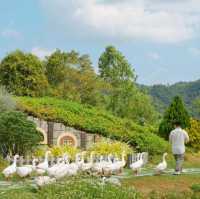 Alpacahill สรรค์ของคนรักสัตว์ที่ราชบุรี