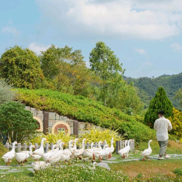 Alpacahill สรรค์ของคนรักสัตว์ที่ราชบุรี