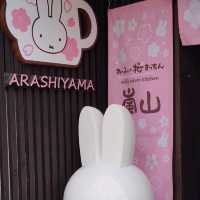 Cutest shop in arashiyama