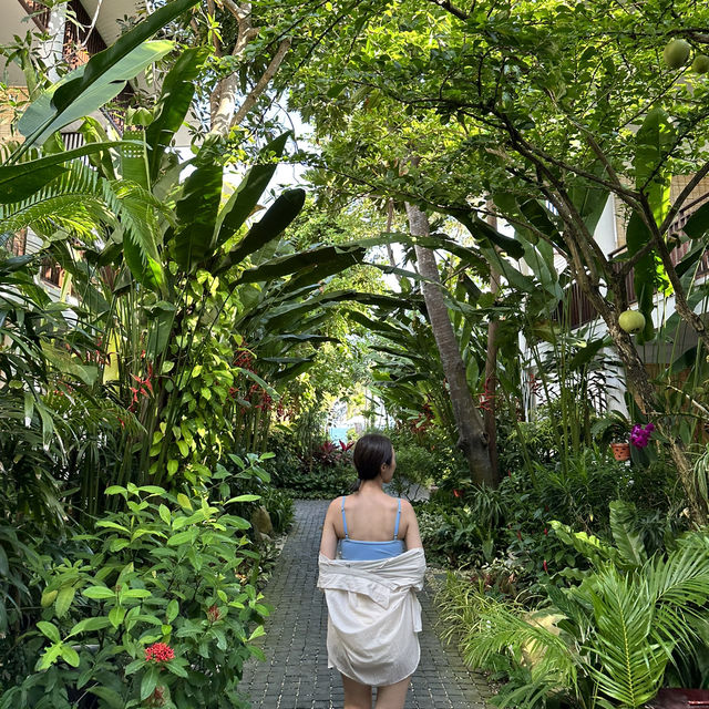 로맨틱한 동남아 바이브의 끝판왕 무이네 빌라아리아🌴