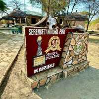 The Ultimate Safari in Serengeti National Park, Tanzania
