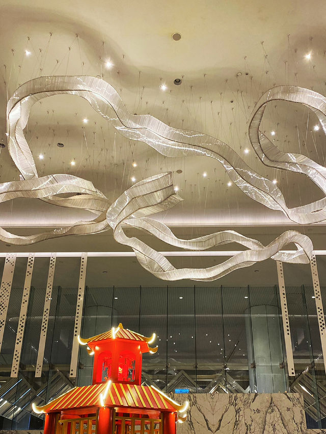 Pull the man to the hotel 🦩🦩