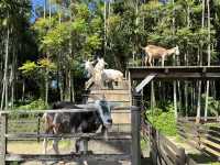 沖縄・東南植物楽園