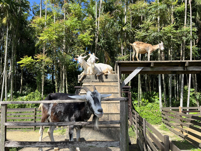 沖縄・東南植物楽園