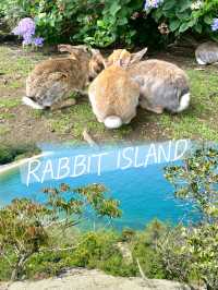 【うさぎ島】広島県大久野島でうさぎに癒される旅🛳