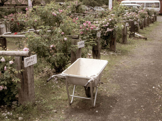 【宮城旅行】