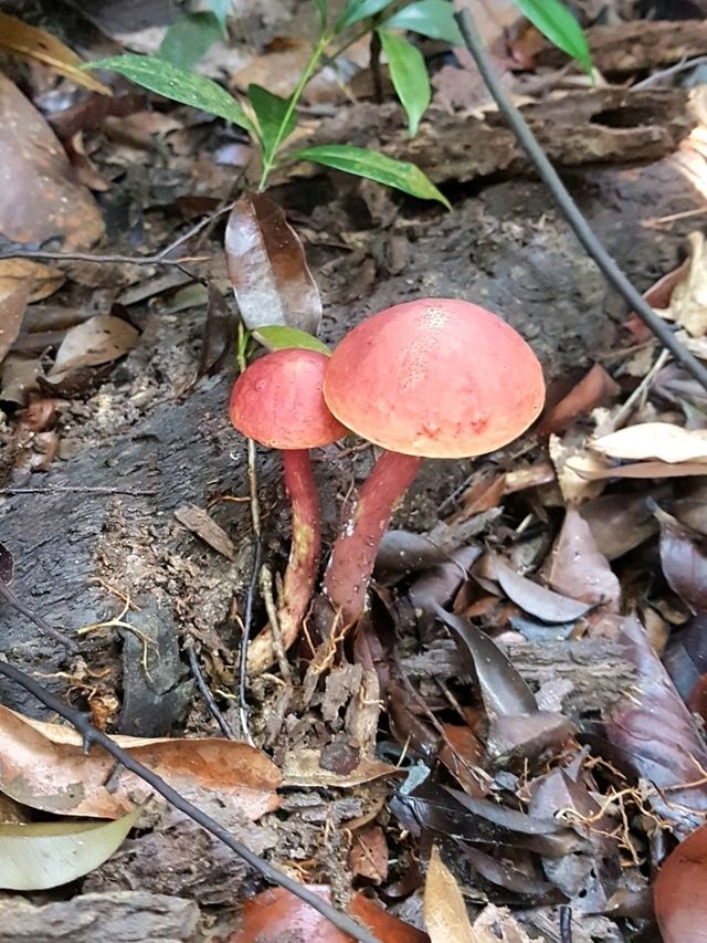 IN HARMONY WITH NATURE 