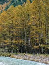 Kamikochi คามิโคจิ