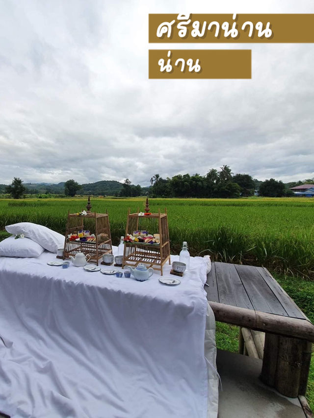 📍น่านเนิบๆ มานอนกลางทุ่งนาที่ศรีมาน่าน