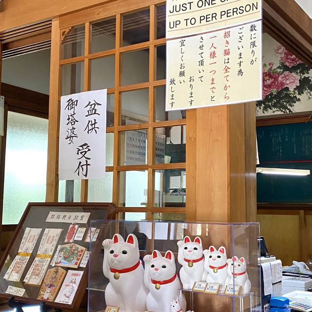 日本ㅣ東京ㅣ豪德寺ㅣ達願千貓神社/招財貓史祖