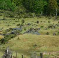 "Abel Tasman National Park: New Zealand’s Coastal Paradise for Adventure and Relaxation"