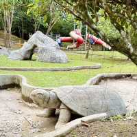 Reservoir Park in Kuching: A Green Haven for Everyone