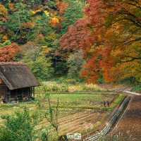 จัดจ้านที่หมู่บ้านชิราคาวาโกะ Shirakawago