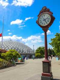 【バンクーバー🇨🇦】お花好きには堪らない公園でのんびり🤍