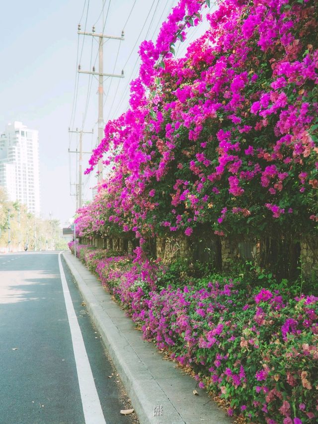 🌅 พิกัดมุมถ่ายรูปเฟื่องฟ้าพัทยา