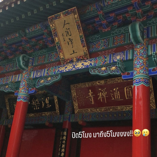 🇨🇳City Walk Kunming🇨🇳