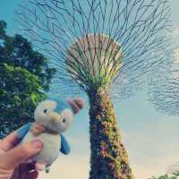 Gardens by the Bay ：白日綠意與夜晚燈光的完美結合