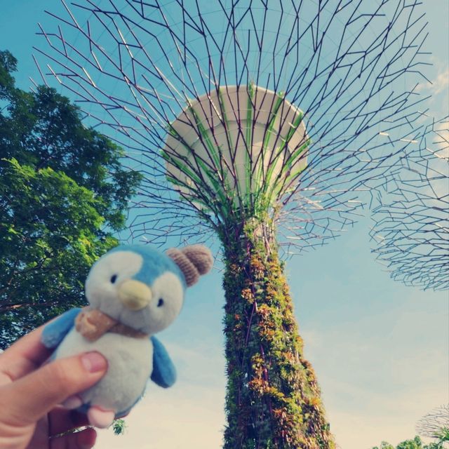 Gardens by the Bay ：白日綠意與夜晚燈光的完美結合