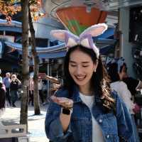 Fantasyland | ฮ่องกงดิสนีย์แลนด์