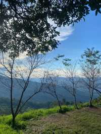 แคมป์ภูชี้ฟ้า | จ.เชียงราย ⛺️🌳☀️💫