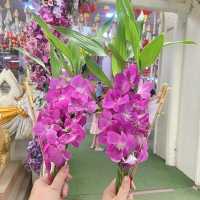วัดไร่ขิง นครปฐม