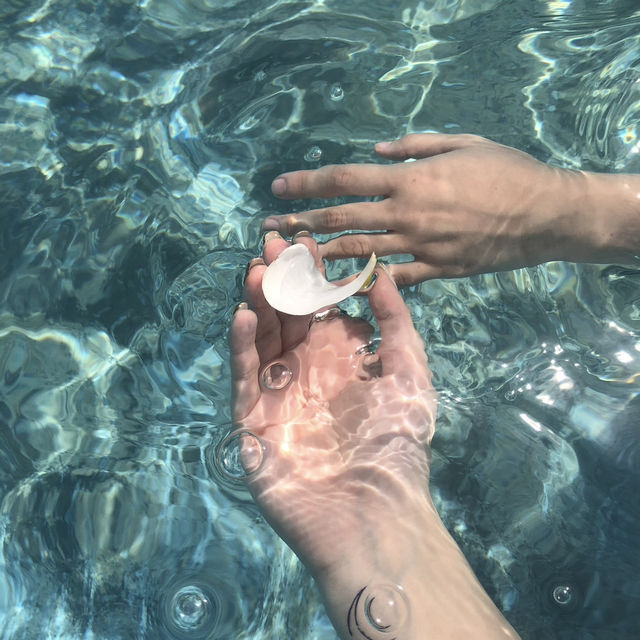 【セブ島】１日中楽しいプールリゾート🏝️