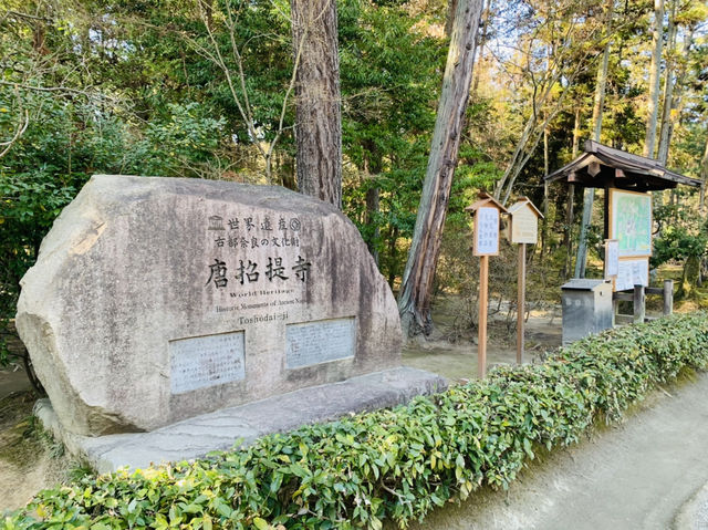 唐招提寺