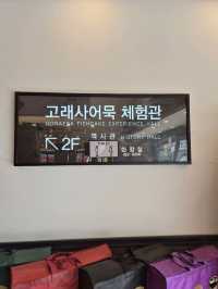 Goraesa Fishcake Shop & Experience Hall 🇰🇷🍥