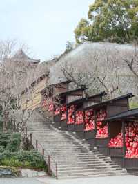 達摩神社！💗勝尾寺💗跟著這篇走不迷路