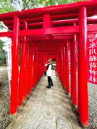 【大宮】最強パワースポットの宝庫📍大宮 氷川神社⛩️縁結びや商売繁盛にもオススメ💓可愛いスポットも🈶