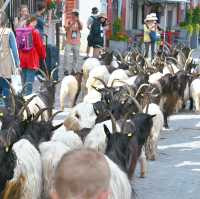 เมือง Zermatt Switzerland