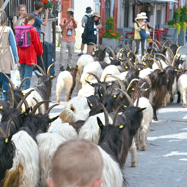 เมือง Zermatt Switzerland