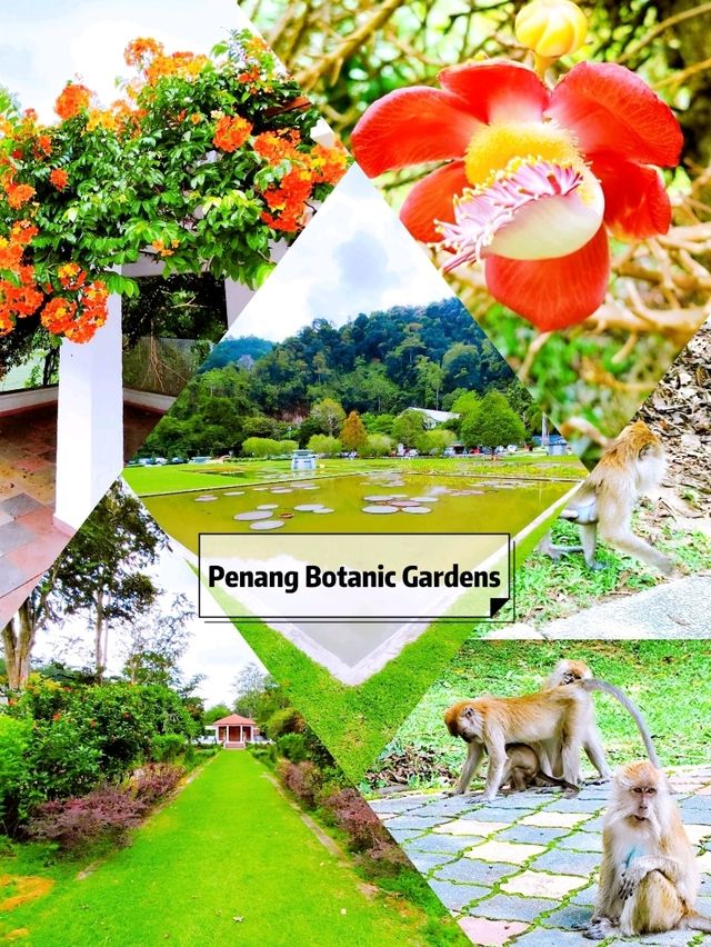 Enjoying Penang Botanic Gardens 