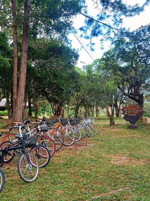 ปั่นจักรยานชมธรรมชาติที่สวยงาม
