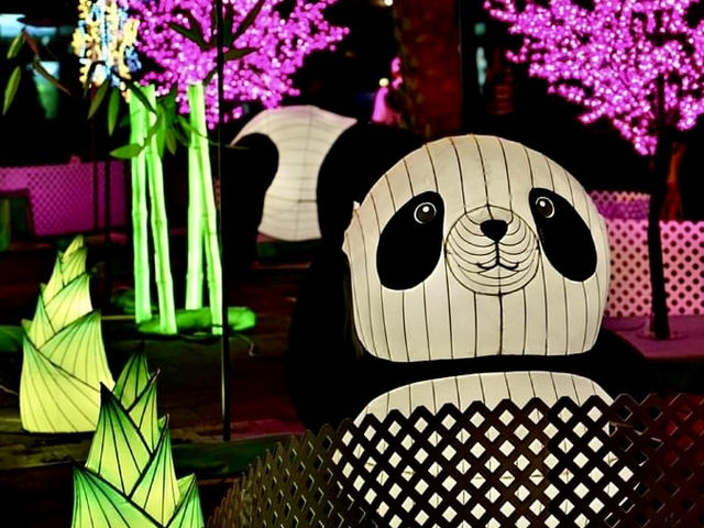 維園中秋花燈-七彩顏色的巨型燈籠，映照維多利亞公園