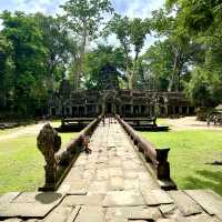 【カンボジア/シェムリアップ】自然と遺跡が融合した神秘的なタプローム寺院