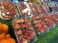 ตลาดดอยมูเซอใหม่