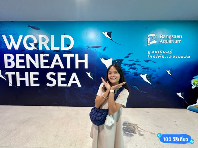 ตะลุยโลกใต้ทะเลที่อควาเรียมบางแสน 🌊🐠
