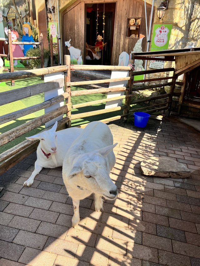 日本獨旅18天Day5 由布院 