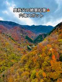 【奥秩父】絶景紅葉🍁 穴場スポット