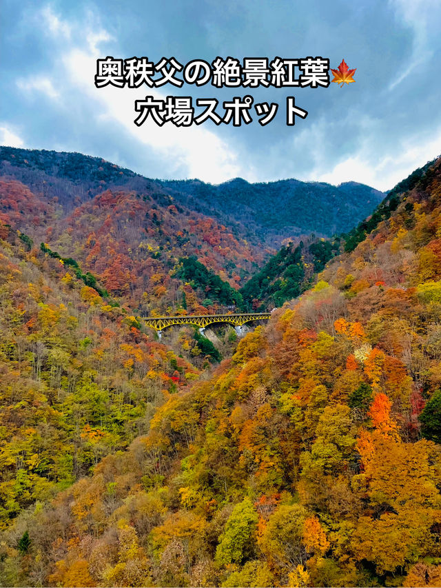 【奥秩父】絶景紅葉🍁 穴場スポット