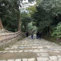 【滋賀/彦根】彦根城